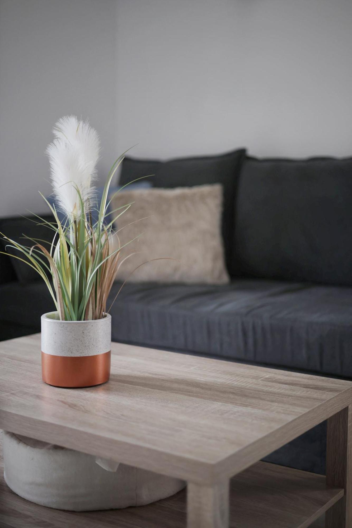 Appartement Familial Avec Jardin Ensoleille Dans La Cite Des Potiers 瓦洛里 外观 照片